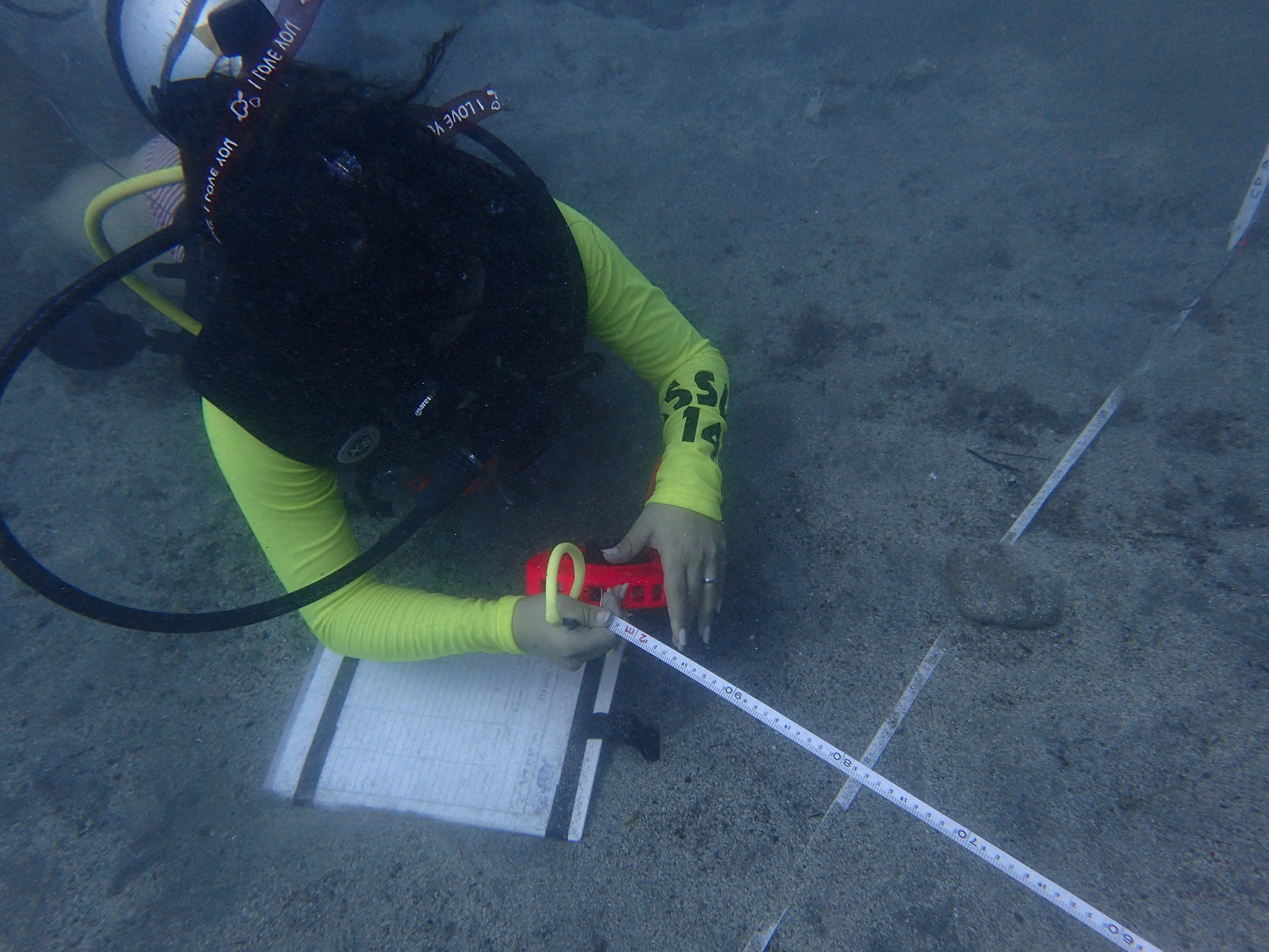 Underwater surveying (photo - Dave Johnston)